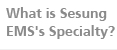 What is Sesung EMS's Specialty?