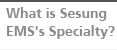 What is Sesung EMS's Specialty?