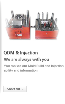 QDM & Injection