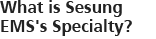 What is Sesung EMS's Specialty?